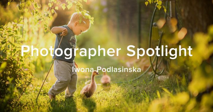 Photographer Spotlight